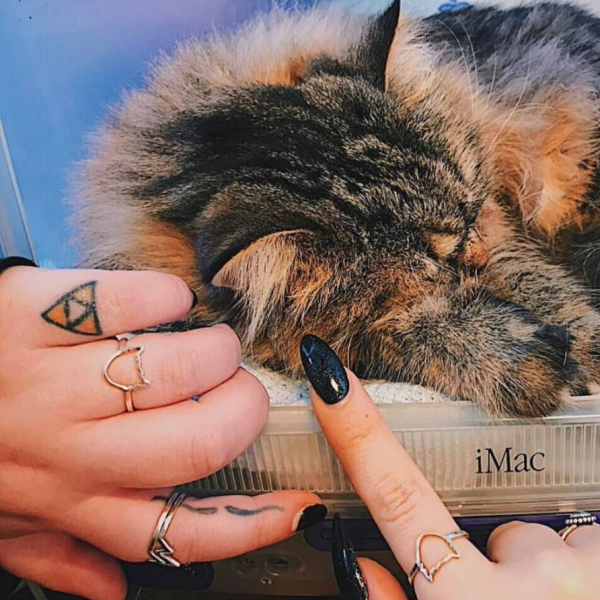 Bad Cat Ring