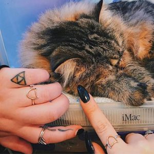 cat ring