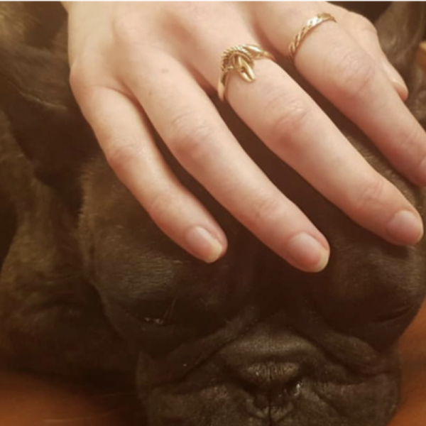 Yellow Gold Amica Amica