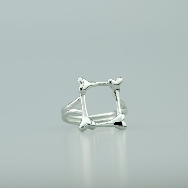 Frame Of Bones - Image 2