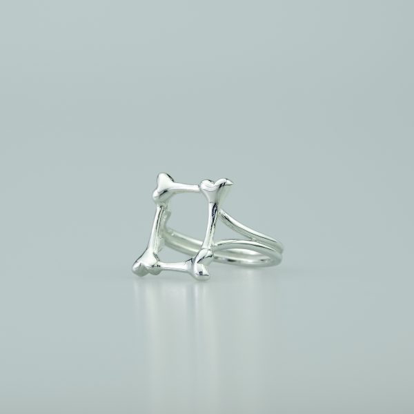 Frame Of Bones - Image 4