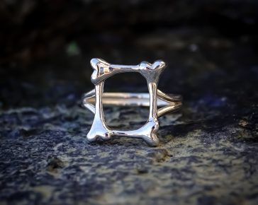 Frame Of Bones