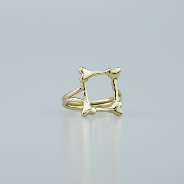 Frame Of Bones - Image 5
