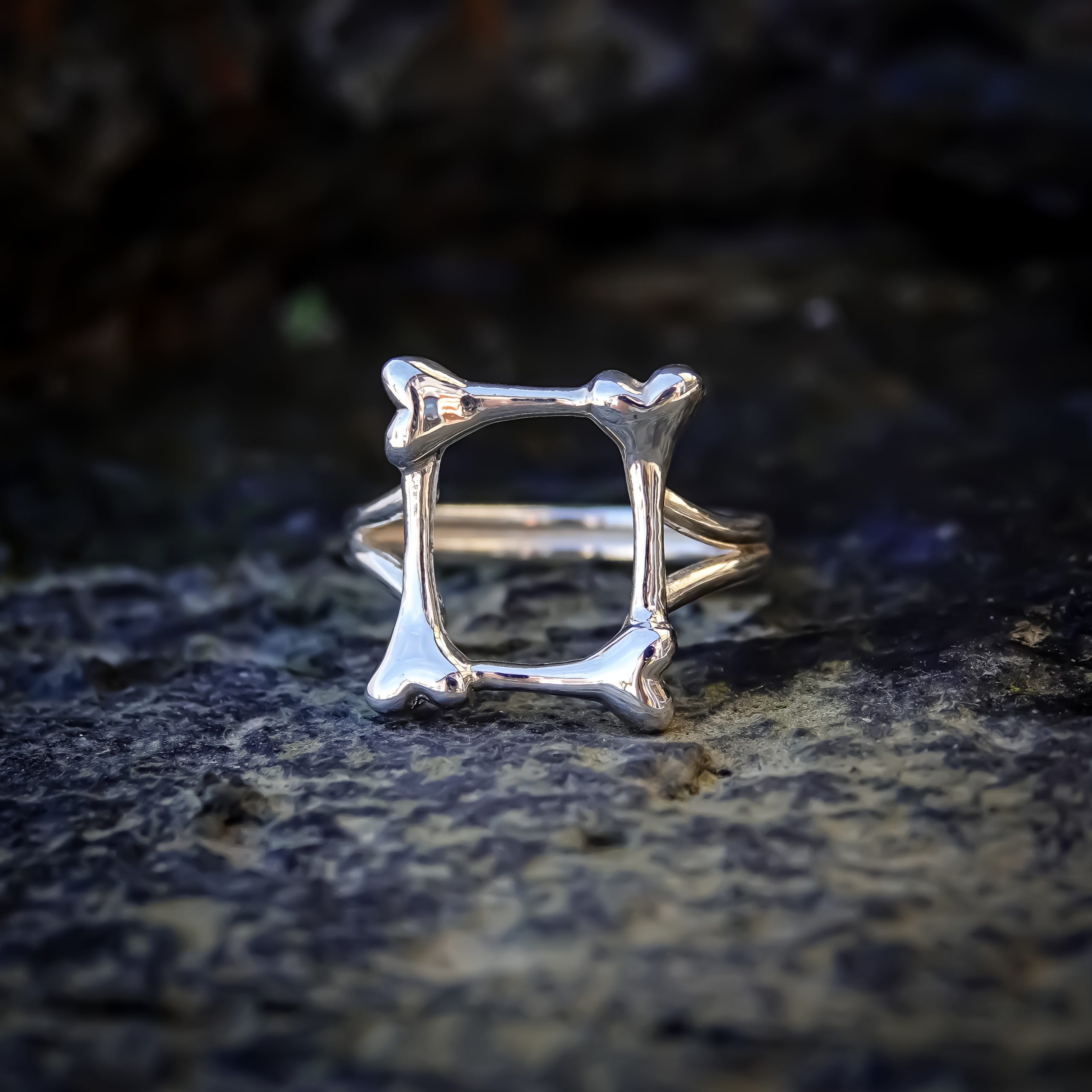 Frame Of Bones