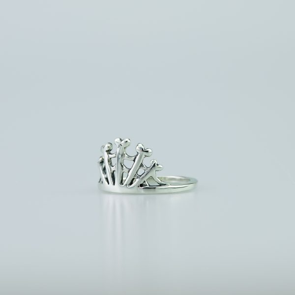 Web Of Bones - Image 4