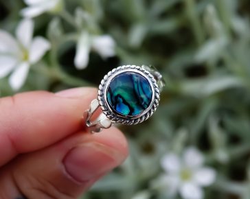 Abalone Blaze