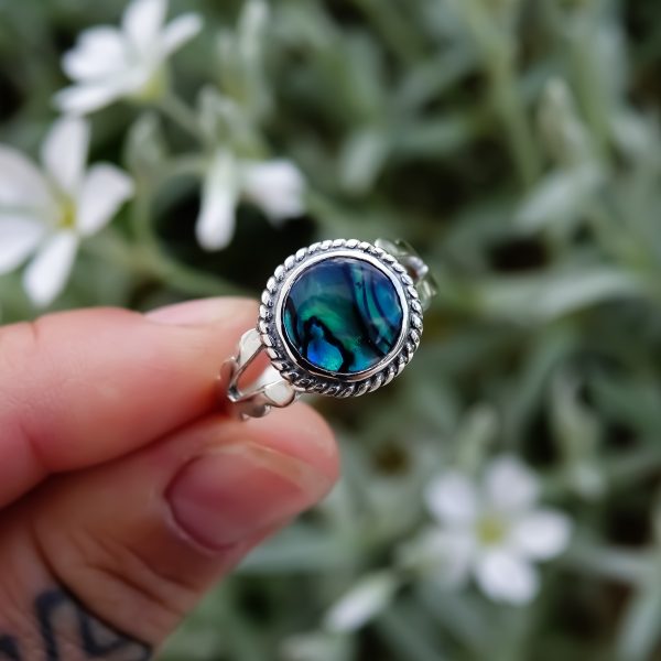 Abalone Blaze