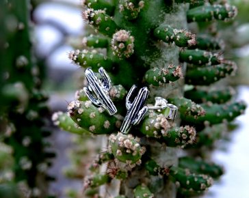Cacti Studs