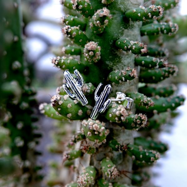 Cacti Studs